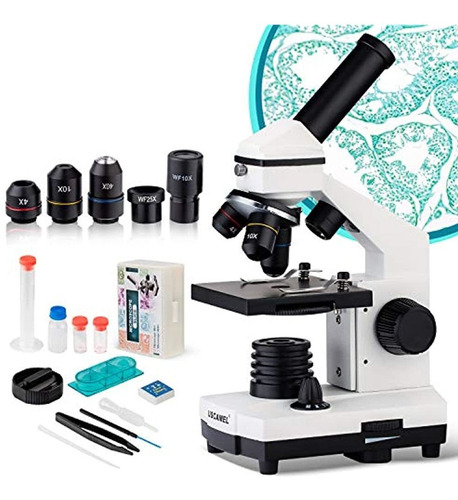 Microscopio De Actualización Para Niños, Estudiantes Y Adult