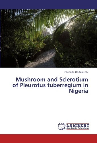 Mushroom And Sclerotium Of Pleurotus Tuberregium In Nigeria