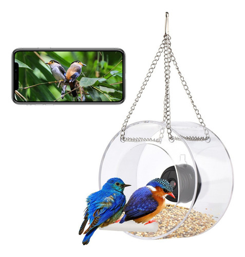 Visión De Cámara Web, Pájaros Con Ir Noche Despejada Afuera