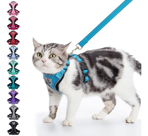 Pupteck Juego De Arns Y Correa Para Gato: Chaleco Ajustable