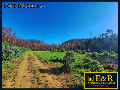 6000 M2 En Colico, Con Ester , Santa Juana (67673)