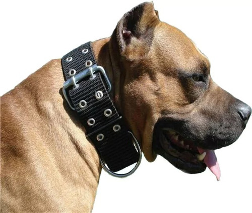 Collar Super Resistente Nato Perro Dogo Pitbull Reforzado