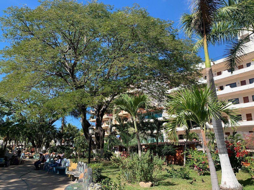 Imagen 7 de 23 de Departamento En Venta En Zona Romántica Con Vista Bahia Y Ce