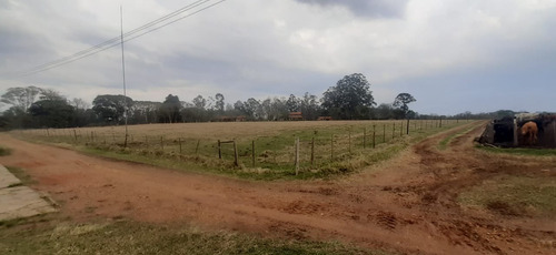 Imagem 24 de 29 de Fazenda 155 Alqueires, Terra Fértil, Rica Em Água Com Rio, 120 Alqueires Para Lavoura, 20 Alqueires Em Eucalipto, Casa Sede, Casa Caseiro, Curral - Fa00262 - 70837159