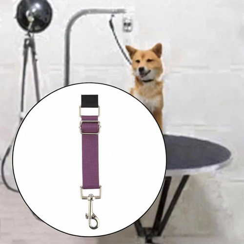 Hjq Extensão De Extensão Do Braço Do Braço De Animais Roxo