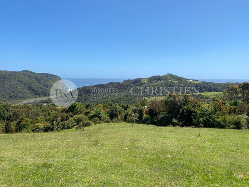Imagen 7 de 14 de 21375 - Sitios En Estaquilla