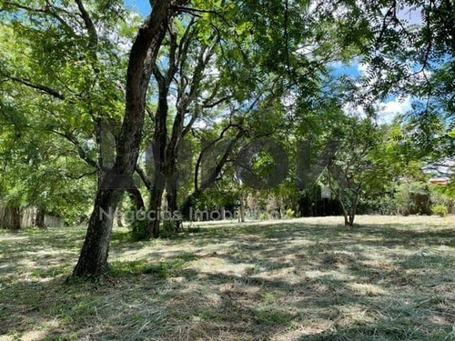 Imagem 5 de 10 de Terreno À Venda Em Vale Verde - Te006031