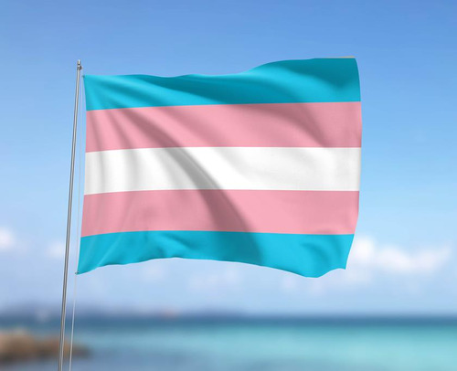 Bandeira Trans Lgbt Gay Nylon 1,50x0,90m