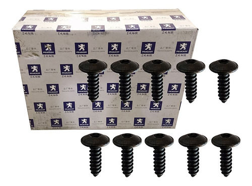 Kit Parafusos Fixacao 4,8x16 Boxer 1994 1995 1996 Peugeot