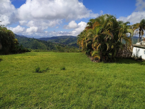 Imagen 3 de 7 de Terreno En Venta Los Guayabitos 1250m2