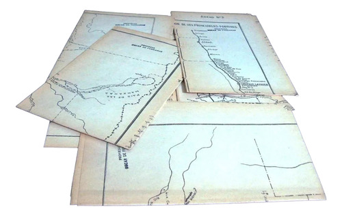 Conquista Desierto Juan C.walther Completo 7 Mapas Indios