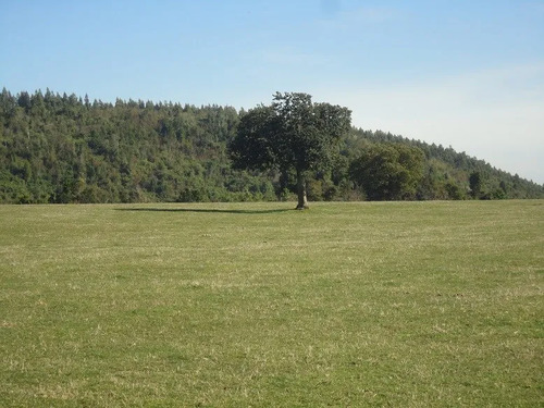 Agrícola En Venta En Lago Ranco