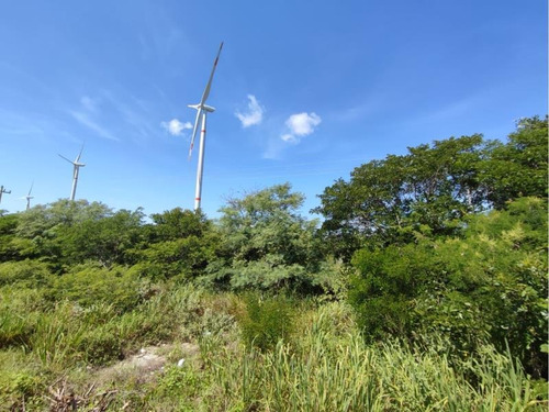 Imagen 6 de 9 de Terreno En Venta Chicxulub Puerto