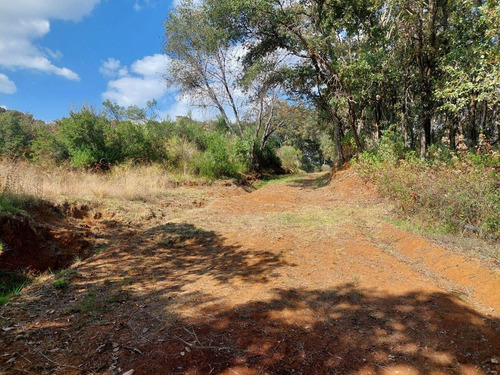 Terreno En Jilotzingo
