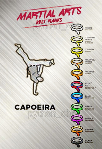 Pósters Aikido Capoeira Jiu Jitsu Judo Ju Jutsu - 42x30cm