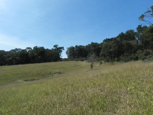 (sc) Lotes No Melhor Local De T.preta, Direto C/proprietario