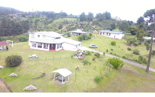 Imagen 2 de 14 de Venta Terreno 10 Has Guarne, Hotel, Universidad, Proyectos