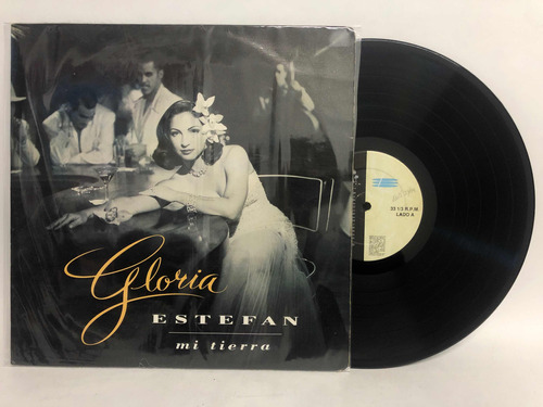 Gloria Estefan - Mi Tierra Vinilo Lp Colombiano