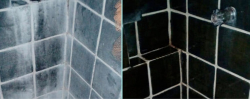 Imagen 8 de 10 de Kit Limpiar Canceles De Baño Drastic Y Emerel Combo Diversey