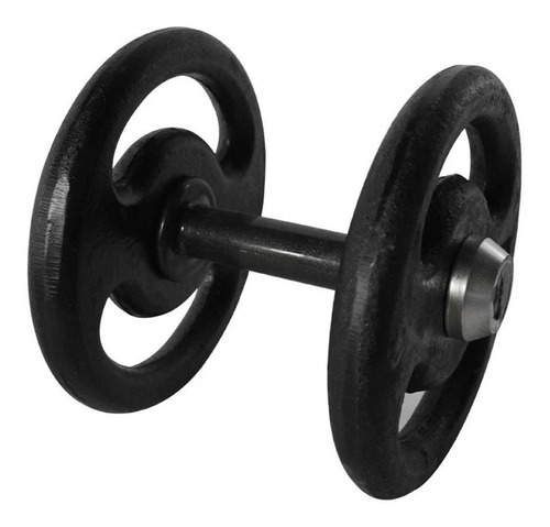 Dumbbell Pintado Pegada Emborrachada Academia Fitness 10kg