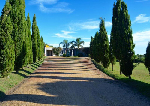 Quinta | Eugenio Sainz Martinez