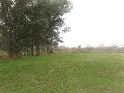 Imagen 1 de 3 de Terreno - Funes