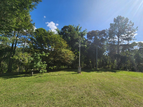 Imagem 15 de 17 de Chácara À Venda Em Juquitiba Com 5.300 M² Ótima Localização