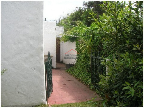 Casa En Playa Brava!- Ref: 3341