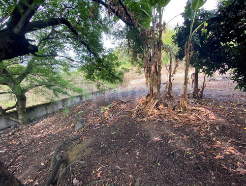 Terreno En Venta, Tlacotepec, Zacualpan De Amilpas, Morelos