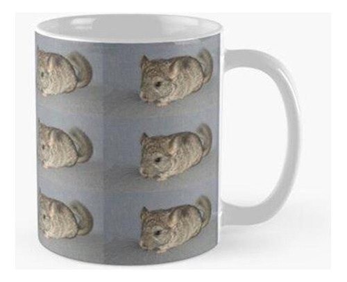 Taza Kit Estándar De Chinchilla Gris Calidad Premium