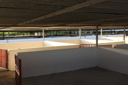 Imagen 6 de 25 de Asein882 Vende Excelente Finca En Tinaquillo Sector Caño De Agua