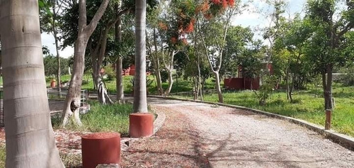 Imagen 4 de 20 de Espectacular Hacienda En Tekit
