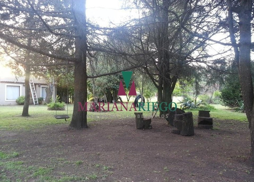 Imagen 23 de 30 de Importante Casa Quinta