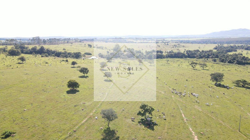 Imagem 4 de 5 de Fazenda Próxima De Uruana!! - 6903