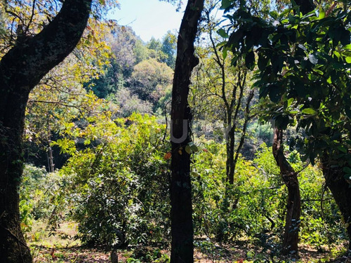 Terreno Venta Cocuatla Tepoztlan San Juan Tlacotenco Ocotes Tepoztlan Morelos
