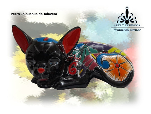 Perro Chihuahua  De Talavera