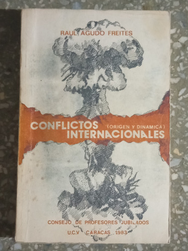Conflictos Internacionales - Raúl Agudo Freires