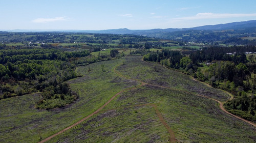 Campo Subdividido En Temuco De 93 Hectáreas Con 135 Lotes