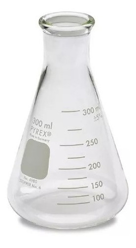 Erlenmeyer En Vidrio Cuello Ancho Capacidad De 300 Ml Schott