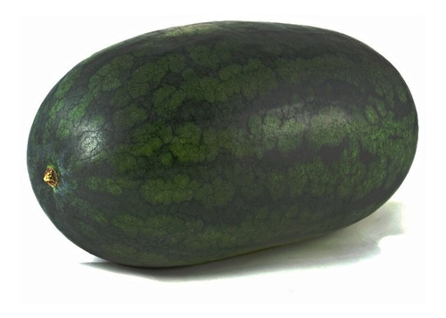 Semilla De Sandía Peacock Improved Bolsa 1 Lb
