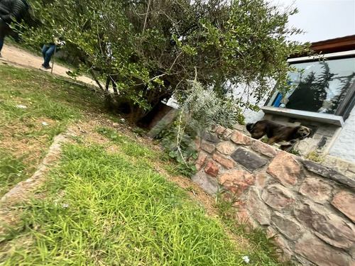 Casa En Venta De 4 Dorm. En Coquimbo