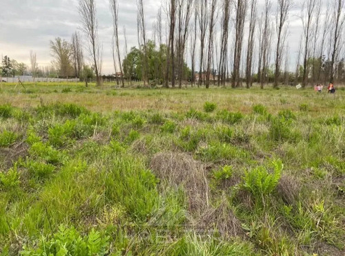 Parcela En Venta En Teno