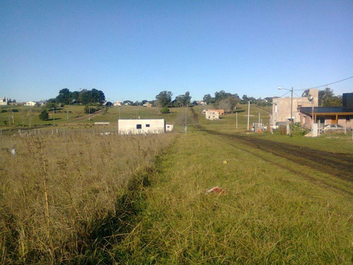 Venta Lote En Playa Los Lobos, Mar Del Plata