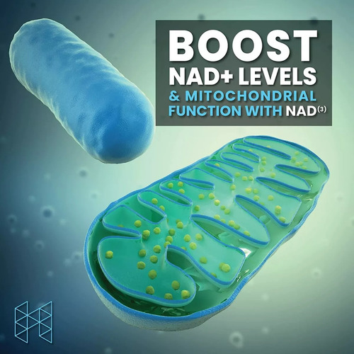 Nicotinamida Ribosica Pura 1300mg Niagen+nad3+niacin+cooper Sabor Insípido