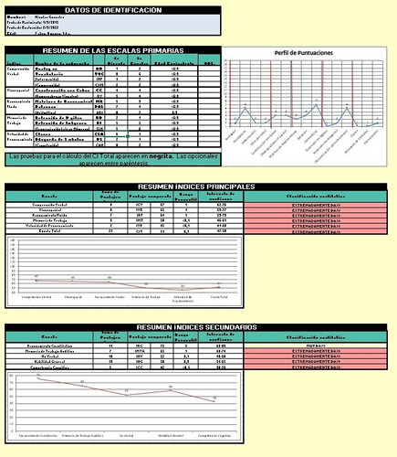 Test Batería Psicológica Wisc V 5 - Automatizado Con Informe