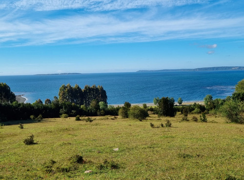 Terreno En Chiloe - Reserva Chucao