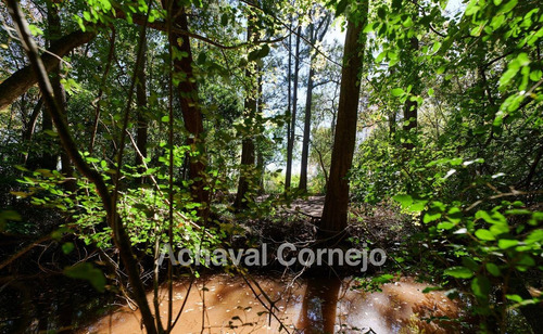 Imagen 18 de 19 de Puertos Escobar - Araucarias - Casa En Venta De 3 Dormitorios Con Dependencias Y Pileta