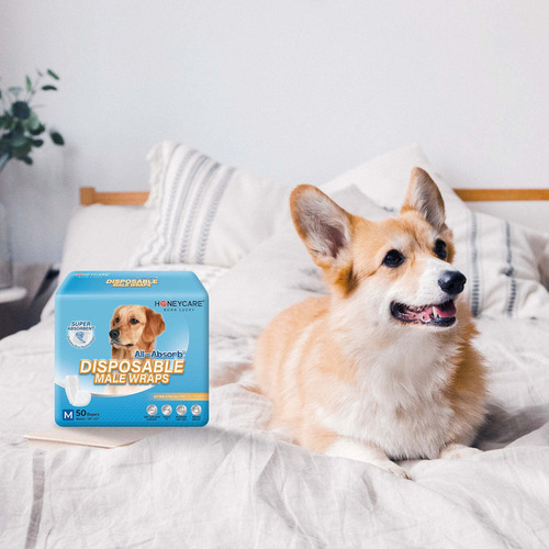 All-absorb A25 Envoltorio Para Perros Machos, 50 Unidades, M