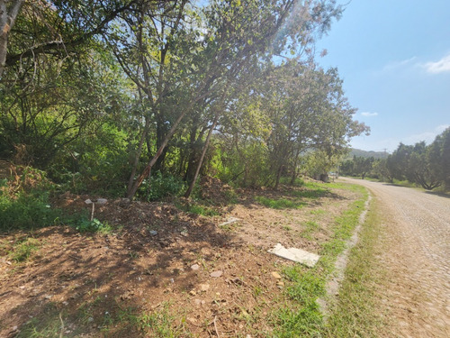 Venta De Lote San Diego 8 Sobre Boulevard Muy Cerca De Las Amenidades Y Del Hotel Del Fracc Rancho San Diego Ixtapan De La Sal Edomex. Se Incluye Proyecto