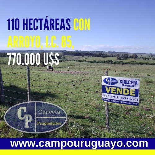 Campo De 110 Hectáreas, Con Arroyo, Buen Acceso